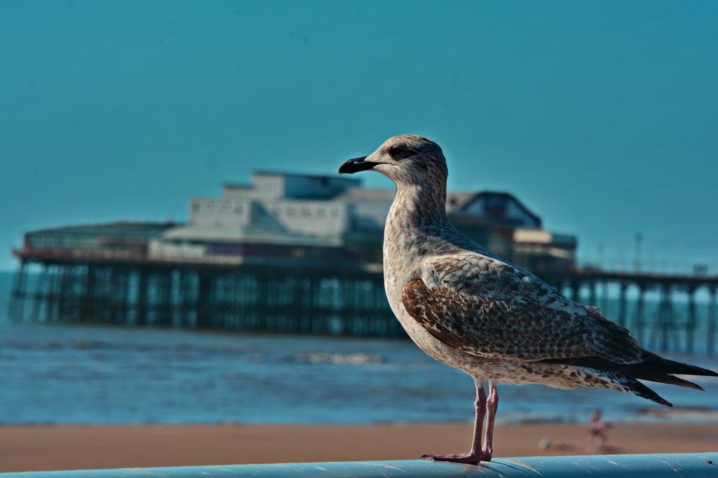 The Derby Hotel Blackpool Buitenkant foto